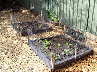 Climatechange Truth and the Hidden Agenda: Square Foot Gardening